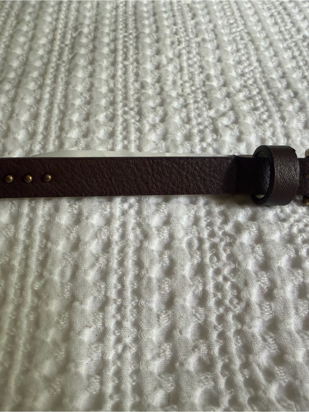 Classic Brown Leather Women's Belt with Antique Stud Detail